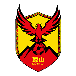 绵阳队